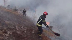 BUKNUO POŽAR KOD GACKA! Vatrena stihija se približila jednoj vikendici, vatrogasne ekipe na terenu!