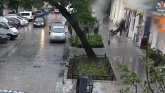 KARAMBOL U POLJSKOJ Žena ponela kišobran zbog oluje, pa joj na glavu pao NEMAČKI OVČAR (VIDEO)