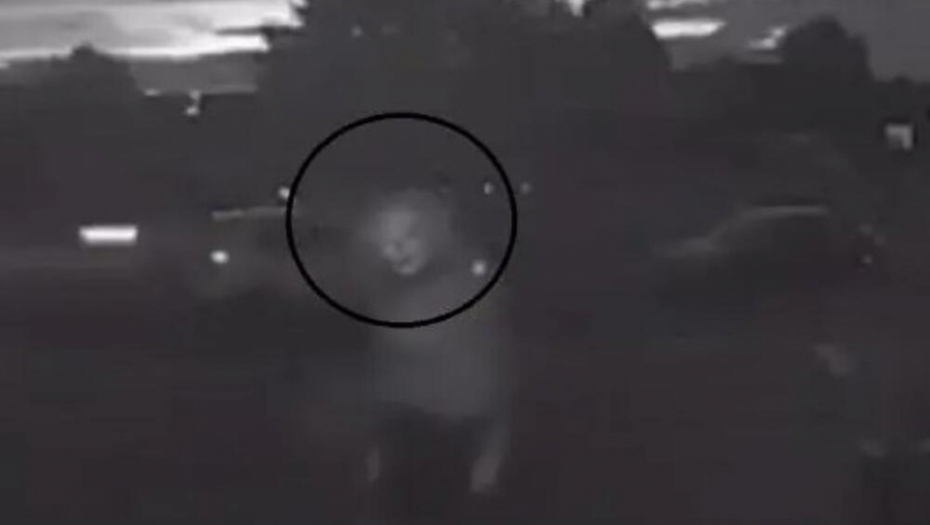 JEZIV SNIMAK SA NADZORNE KAMERE Šta se to vidi u mraku? (VIDEO)