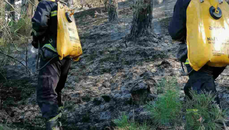BORBA SA VATRENOM STIHIJOM! Bukti veliki požar nadomak auto-puta Niš - Pirot!