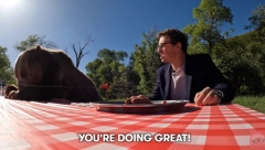 KO ĆE PRE DA POJEDE 75 VIRŠLI? Čovek i grizli se TAKMIČILI, ovo je najluđi duel koji ste videli (VIDEO)