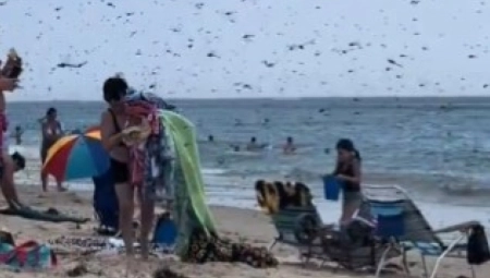DRAMATIČNA SCENA NA POPULARNOJ PLAŽI Ljudi šokirani, odjednom su ugledali crni oblak i krenuli da vrište! (VIDEO)
