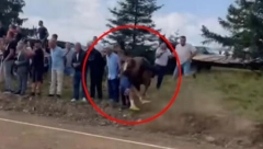 UZNEMIRUJUĆI SNIMAK! Pogledajte momenat kad je konj uleteo u publiku u Sandžaku: Užas na vašaru, povređena i deca (FOTO + VIDEO)