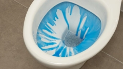 NIKADA VIŠE NEĆETE KUPITI OSVEŽIVAČ ZA WC ŠOLJU 4 sastojka koji će doneti pravu oazu u vaše kupatilo