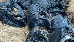 KAKAV DOMAĆIN! Sakrio 69 kila droge u seno (FOTO)