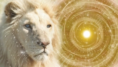 DANAS SE OTVARA LAVLJA KAPIJA, OVAJ PORTAL MENJA ŽIVOT Desiće se velike promene, ali samo jedan znak će se rešiti bede