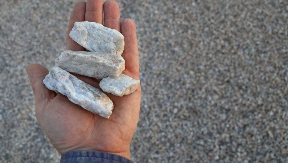 "PITANJE KAKO JE OSNOVNU ŠKOLU ZAVŠRIO, NAVUKLI GA DA ISPADNE MAGARE" Inženjer “pokopao” opozicionara zbog teorija zavere koje širi! (FOTO)