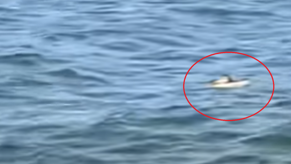 ŽENA SLUČAJNO SNIMILA JEZIV PRIZOR U JEZERU Vlasti se hitno digle na noge, češljaju Iri (VIDEO)