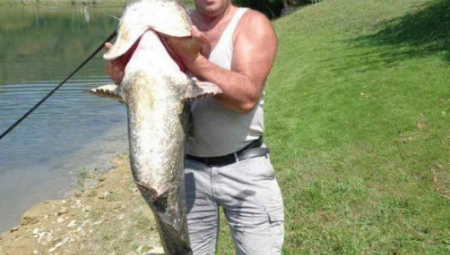 BORISLAV ULOVIO KAPITALCA Pola sata se borio da izvuče iz reke soma od 31 kilogram