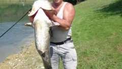 BORISLAV ULOVIO KAPITALCA Pola sata se borio da izvuče iz reke soma od 31 kilogram