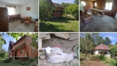 ALEKSANDAR PRODAJE DVE KUĆE PO 182 I 44 KVADRATA ZA SAMO 6.000 EVRA Uz to ide i 26 ari placa, ljudi ne veruju kad ovo vide