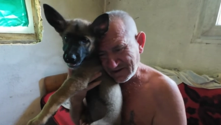 STANKO PREŽIVEO UDAR TERETNOG VOZA Nije hteo da ostane u bolnici zbog svog psa - Bolje da se meni desilo nego nekom drugom