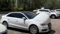 SAMO ŠTO SE NE "PORODE" Da li ste nekad videli trudne automobile? (VIDEO)