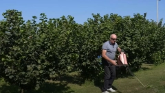 5.000 EVRA ZARADI PO SADNICI Ivan iz Bugojna nije ni sanjao da će napraviti ovakav biznis (VIDEO)