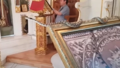 SABLASNA SCENA U GRČKOJ CRKVI NA GOSPOJINU! Zmije gmizale po ikonama, vernici ih CELIVALI i krstili se: Ovo je Bogorodičin ZNAK! (VIDEO)