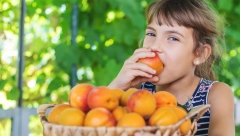 KO NE SME DA JEDE KAJSIJE? Zdrave su, ali ljudi koji imaju ovu bolest treba da ih izbegavaju