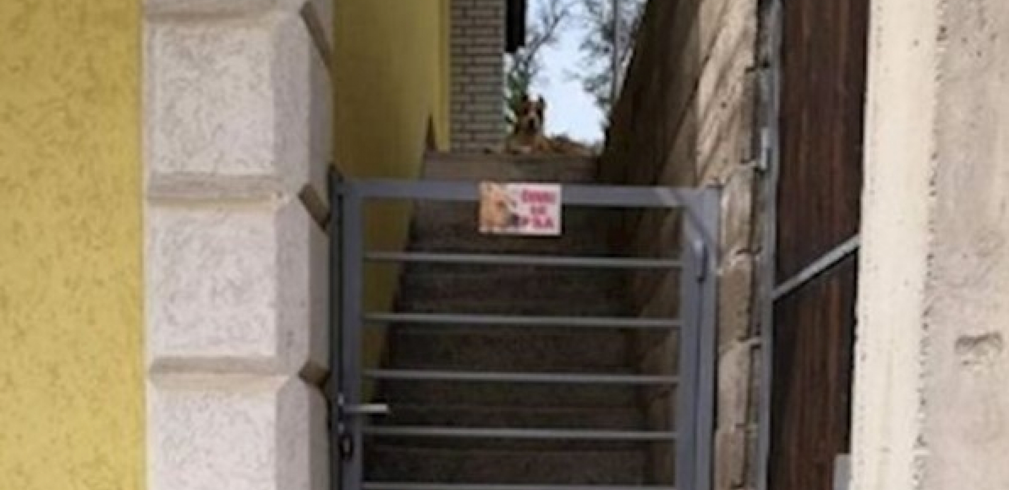 HIT SA BALKANA Ljudi na ogradu postavili urnebesan natpis i sad ih komšije zaobilaze