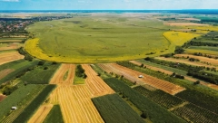 Jutro zemlje ovde vredi kao stan od 70 kvadrata u Novom Sadu: A cela njiva prodata za milion evra!