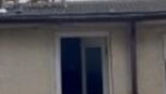 ČULA DA NEŠTO LUPA PO KROVU, PA OTIŠLA DA PROVERI Kad je pogledala gore, nije mogla da veruje šta vidi (VIDEO)