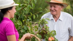 BIVŠEM MUŽU POSTALA MAĆEHA Ispovest Nišlijke koja se udala za svekra, "sramota me jer me čitavo selo ogovora"