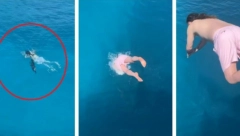 SA GLISERA SKOČIO PRAVO U LETNJU NOĆNU MORU Dojurila je iz dubine brzinom od 50 kilometara na sat (VIDEO)