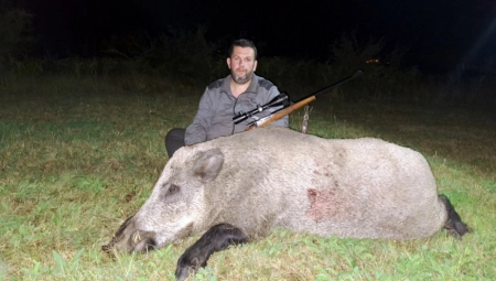 BOJAN UBIO GRDOSIJU TEŠKU 242 KILOGRAMA! Divlja veprina se sladila heljdom kad je iskusni lovac ispalio SMRTONOSAN METAK!