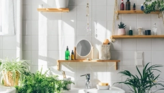 IZBACITE IH MOMENTALNO Stručnjaci otkrivaju kojih 8 proizvoda ne smeju da se nađu vašem kupatilu pred kraj leta, mogu biti opasni