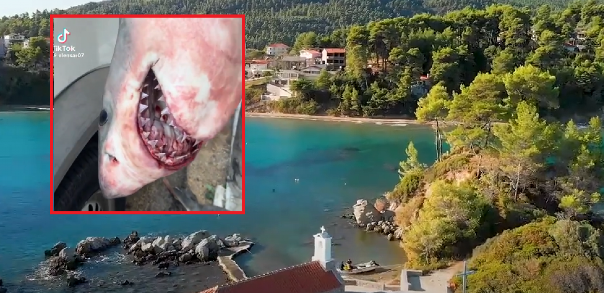 DRAMATIČAN SUSRET SA MONSTRUMOM Morska zver prestravila ribare, otvorila čeljusti i zagrizla! (VIDEO)