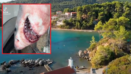 DRAMATIČAN SUSRET SA MONSTRUMOM Morska zver prestravila ribare, otvorila čeljusti i zagrizla! (VIDEO)