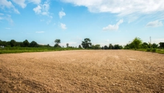 Hektar njive kao kvadrat u Beogradu na vodi: Ovde su najskuplje oranice u regionu