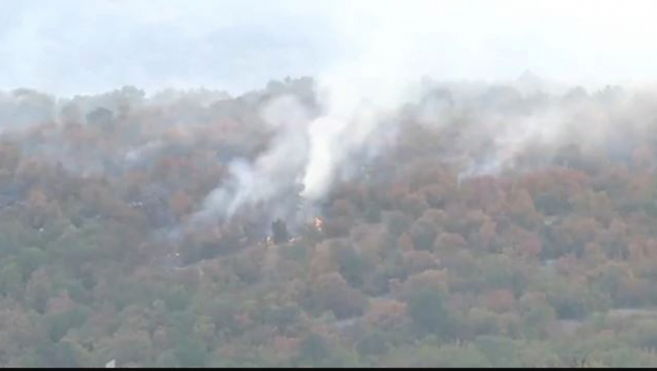 VATRA NE PRESTAJE DA BESNI! Ponovo aktivan požar na Prošćenskim planinama kod Mojkovca!