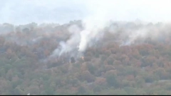 BUKTE POŽARI ŠIROM SRBIJE! Borba sa vatrenom stihijom i tokom cele noći, GORE ŠUME, proglašene i vanredne situacije! Evo gde je najteža situacija (FOTO, VIDEO)