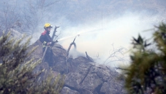 POŽAR KOD BOGUTOVCA PUSTOŠI ŠUME VEĆ OSMI DAN! I helikopteri gase VATRENU STIHIJU!
