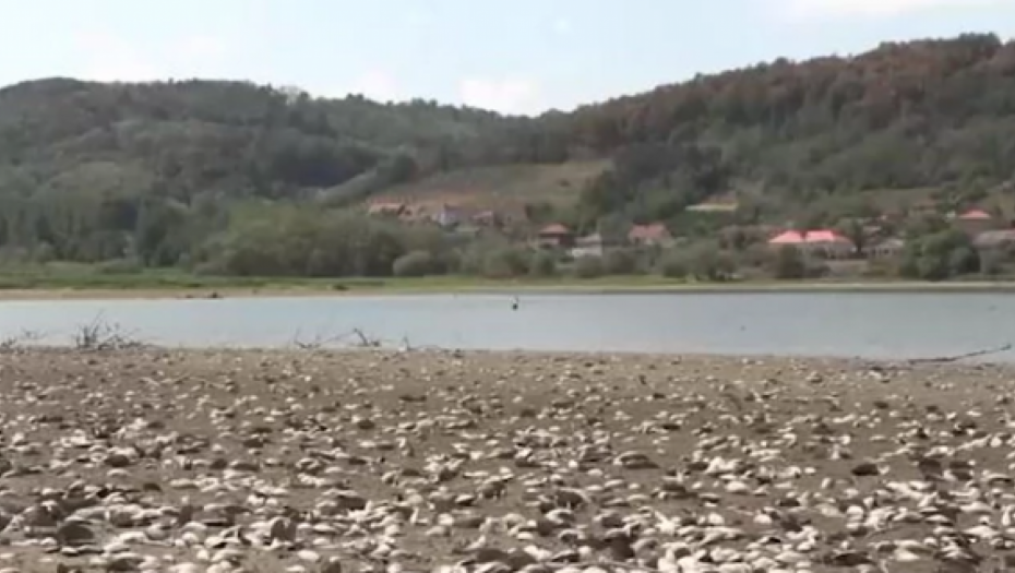''OD OSAMDESETIH SAM OVDE I OVO NE PAMTIM''! 200.000 ljudi se sa ovog jezera snabdeva vodom za piće, sad je prekriveno LJUŠTURAMA: Meštani šokirani!