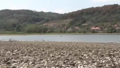 ''OD OSAMDESETIH SAM OVDE I OVO NE PAMTIM''! 200.000 ljudi se sa ovog jezera snabdeva vodom za piće, sad je prekriveno LJUŠTURAMA: Meštani šokirani!