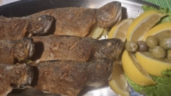 NA MENIJU SAMO 4 JELA, A GOSTI SAMO NAVIRU: U srpskom selu Petrov restoran mami turiste, a ovo je tajna uspeha