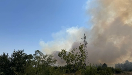 UZBUNA U NOVOM SADU Veliki požar izbio je na gradskoj deponiji (VIDEO)