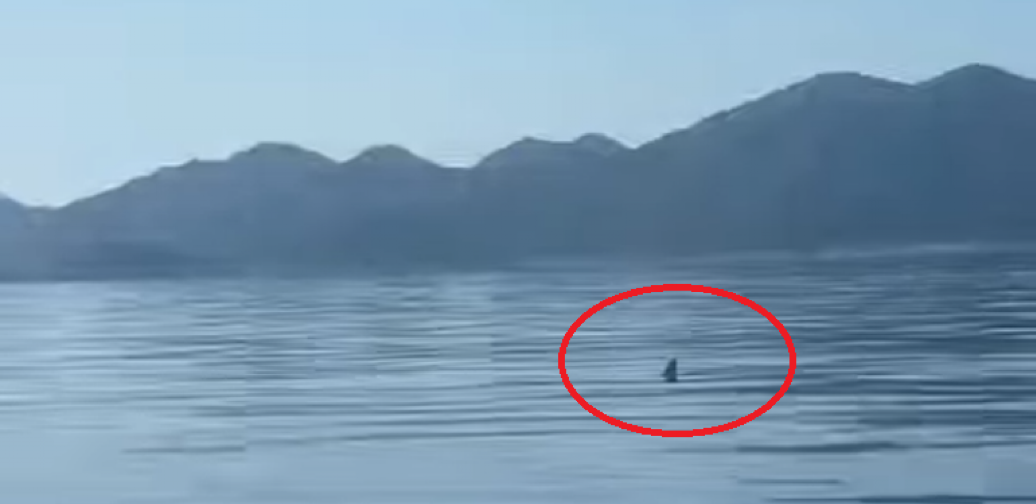 ODMAH SU ZGRABILI KAMERU DA SNIME Osvanuo zastrašujuć prizor u Neretvanskom kanalu (VIDEO)