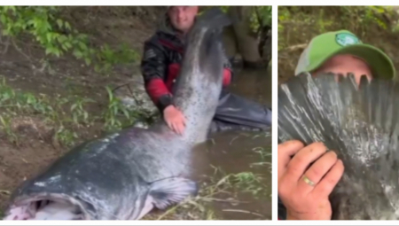 POGLEDAJTE KAKVU "NEMAN" JE OVAJ ČOVEK UPECAO Peraje veliko kao ljudska glava (VIDEO)