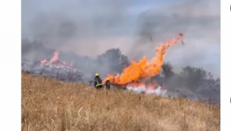 I DALJE TRAJE BORBA SA VATRENOM STIHIJOM! Vatrogasci gase vatru u Vinči, nisko rastinje u plamenu! (VIDEO)