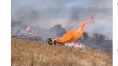 I DALJE TRAJE BORBA SA VATRENOM STIHIJOM! Vatrogasci gase vatru u Vinči, nisko rastinje u plamenu! (VIDEO)