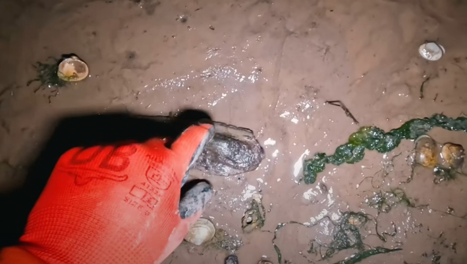 OBALA OVOG POPULARNOG OSTRVA KRIJE JEZIVE TAJNE Istraživač prenoćio...kada se voda povukla, naišao na prizor kao iz horor filma! (VIDEO)