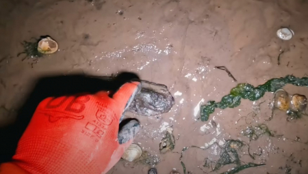 OBALA OVOG POPULARNOG OSTRVA KRIJE JEZIVE TAJNE Istraživač prenoćio...kada se voda povukla, naišao na prizor kao iz horor filma! (VIDEO)