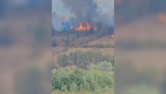 VATRENA STIHIJA KOD KRALJEVA GUTA SVE PRED SOBOM! Plamenu se ne vidi kraj, ne zna se uzrok