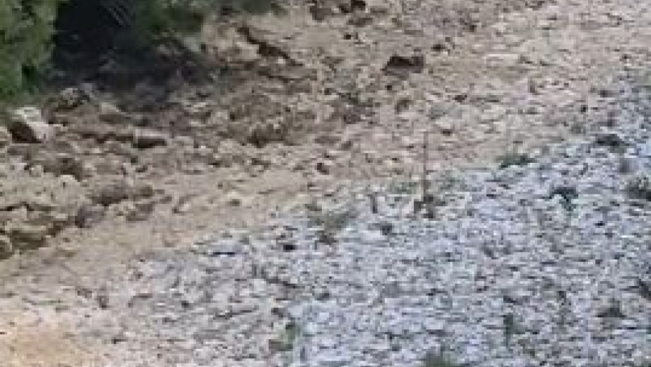 PRESUŠIO IBAR, SVA PASTRAMKA STRADALA?! Alarmantni snimci rečnog korita (VIDEO)