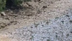 PRESUŠILO KORITO IBRA NA GRANICI SA CRNOM GOROM! Upućen hitan apel građanima Rožaja!