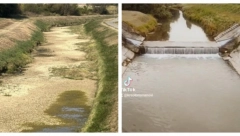 "SVE UMIRE PRED NAŠIM OČIMA" Bolni prozori iz Slavonije, ljudi spašavali ribu golim rukama jer je reka skroz presušila