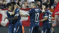 KATASTROFA ZA ZVEZDU PRED LIGU ŠAMPIONA Povredio se izuzetno važan igrač, velika briga u Ljutice Bogdana
