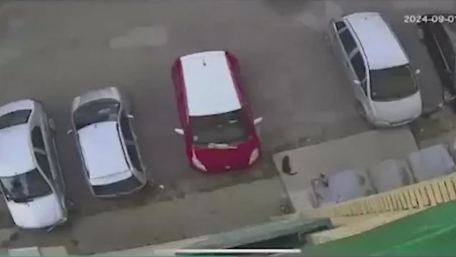 KAMERE SNIMILE HOROR U TRSTENIKU Dečak (10) šutirao i gazio mače DO SMRTI! Udarao ga kao loptu, otišao pa se vratio da ga DOKRAJČI