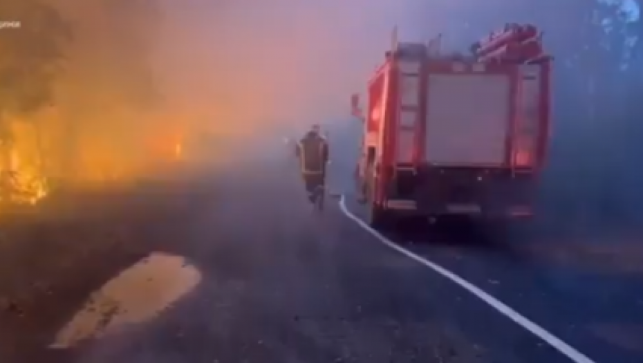 U POŽARU NASTRADALO 12 PASA Izgororelo domaćinstvo i odgajivačnica kod Kragujevca